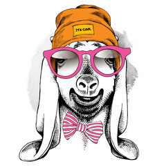 Goat portrait in a Hipster Hat and with glasses. Vector illustration.