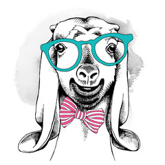 Goat portrait in a glasses with tie. Vector illustration.