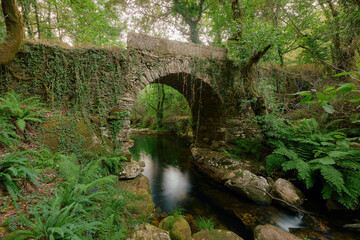 Old stone bridge over a beautiful river that runs through a lush forest.