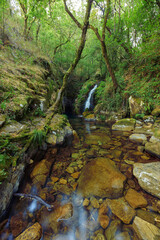 Beautiful and small river forming a small waterfall between trees and rocks.