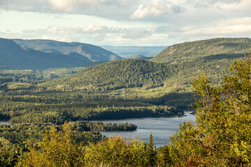 autumn colors tree green orange yellow 