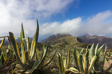 Viewpoint of Masca in the mountains of Tenerife (Spain)