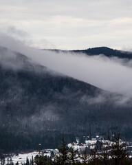 winter autumn fog mountains tree