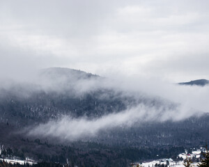 winter autumn fog mountains tree