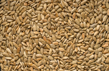 a lots of seeds pattern background macro