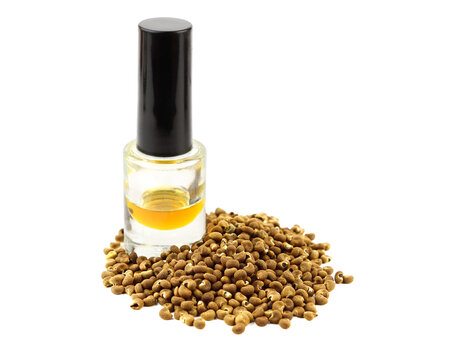 Ambtrette Seed Oil in a Bottle. Perfume Fragrance for Ambra. Isolated on White Background.