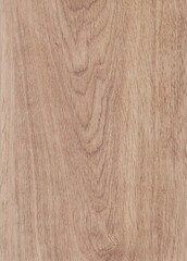 Naklejka premium The texture of freshly cut wood. Annual rings and cracks in the old tree. Horizontal wooden background. Texture in high resolution. Color image.