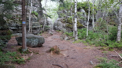 The Stołowe Mountains, Góry Stołowe, Stolové hory, Heuscheuergebirge - part of the Sudetes. The...