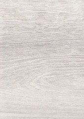 Fototapeta premium The texture of freshly cut wood. Annual rings and cracks in the old tree. Horizontal wooden background. Texture in high resolution. Color image.