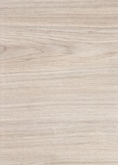 Naklejka premium The texture of freshly cut wood. Annual rings and cracks in the old tree. Horizontal wooden background. Texture in high resolution. Color image.