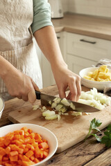 Woman in the kitchen preparing homemade food, female hands working with fresh vegetables