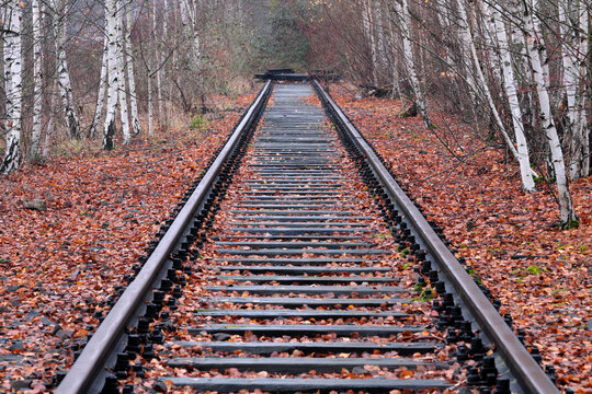 The end of a railway line blocked with railroad crossties and rails in a birch grove in autumn covered with fallen leaves - stockphoto 