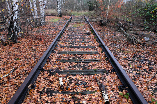The end of a defunct railway line in a birch grove in autumn covered with fallen leaves - stockphoto 