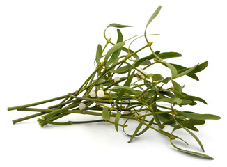 Obraz premium Green mistletoe with berries.