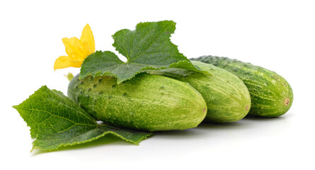 Green cucumber with leaves and flower.
