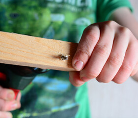 the child drills with an electric drill. home renovation concept, help father, do it yourself, growing up.