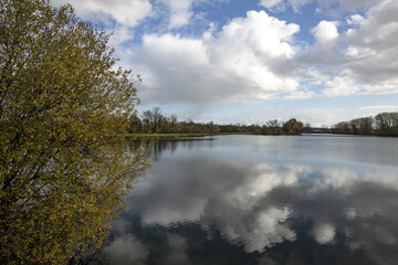 Paysage de Gironde