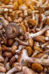Shiitake mushrooms. Vegetables and fruits at an outdoor farmers market. Raw organic ingredients—fruits and vegetables—used in cooking