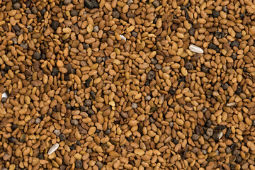Alfalfa seeds for germination background for desing