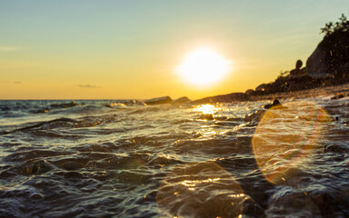 Coral close up view at beach sunset