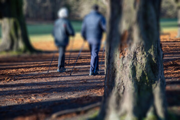 an elderly couple doing nordic walking  trough a parkway, blurred shot with tilt-shift effect,...