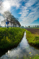 Spring nature landscape in Betuwe, Gelderland, Netherlands
