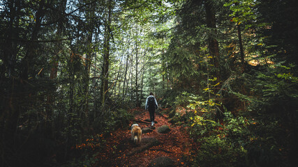 Woman walks the trail of a forest in autumn day