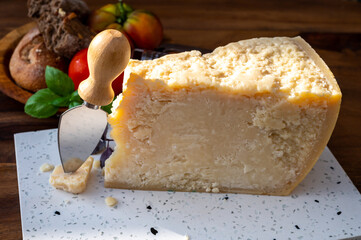 Cheese collection, hard yellow Italian cheese parmesan or parmigiano reggiano