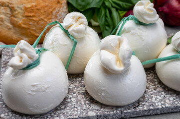 Cheese collection, fresh soft Italian cheese from Puglia, white balls of burrata or burratina cheese made from mozzarella and cream filling