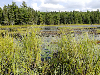 Travelling around Canada: Ontario and Quebec