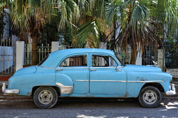 Fototapeta premium Restored antique car of Havana, Cuba
