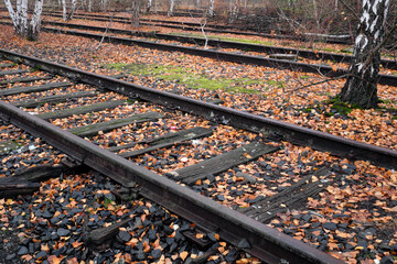 A defunct railway line in a birch grove in autumn covered with fallen leaves - stockphoto 