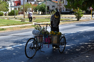 Flower vendor on bike in Havana