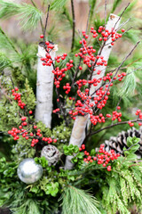 Christmas holiday ornaments and decorations