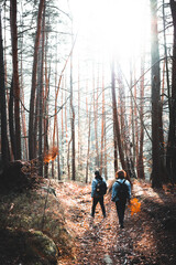 Obraz premium Group of young friends walking in the winter cold forest
