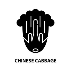 Obraz premium chinese cabbage icon, black vector sign with editable strokes, concept illustration