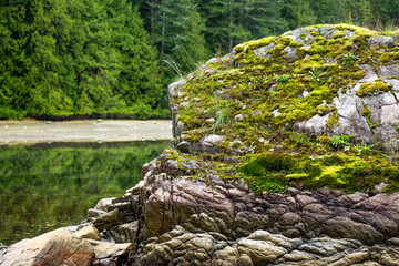 Mossy rocks at Mansons Landing Provincial Park
