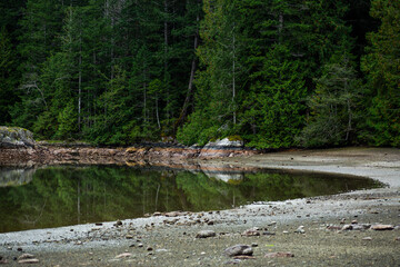 Coastline at Mansons Landing Provincial Park