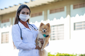 Latin American veterinarian holding a cute puppy, wearing a protective mask. focus on the dog