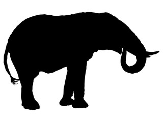 ゾウシルエット_3