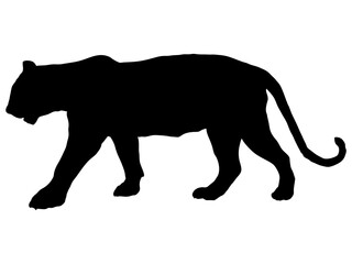 トラシルエット_4