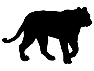 トラシルエット_5