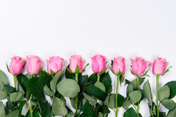 Top view of frame of pink roses on white backround. Flat lay with copy space. Valentines Day concept.