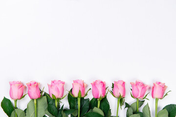 Top view of frame of pink roses on white backround. Flat lay with copy space. Valentines Day concept.