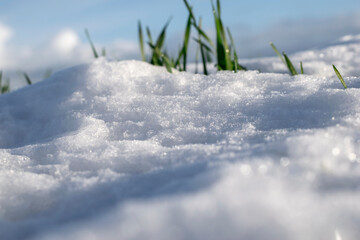 Close up of snow texture with unfocused grass.