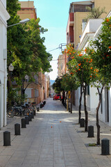 Fototapeta premium Typische Straße Strasse Gasse in Barcelona in Spanien Katalonien Europa mit Architektur und Bauwerken Mandarinen Orangen Bäumen