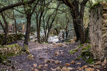 Camino de montaña rodeado de encinas y piedras