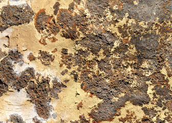 Rocky textures in Kauai, Hawaii