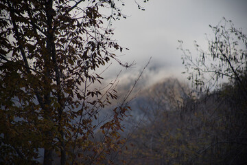 Amazing view with colorful autumn forest with asphalt mountain road at sunset.
