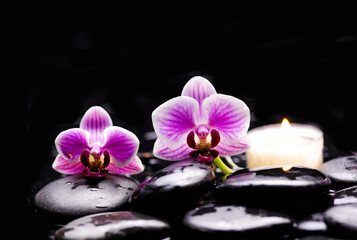 Zen lifestyle ;pile of zen Stones and closeup pink orchid flowers ,candle on black background.